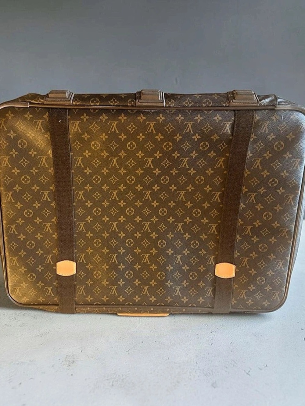 Louis Vuitton Monogram Travel Case in Brown